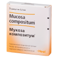 Mucosa compositum