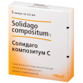 solidago_kompozitum